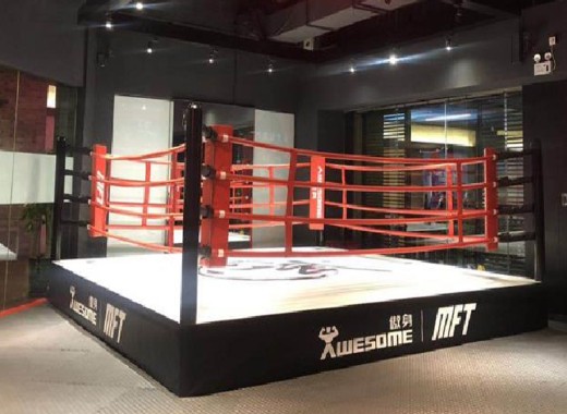 Easy Install Boxing Fighting Ring 18ft 20ft Free Standing Boxing Ring