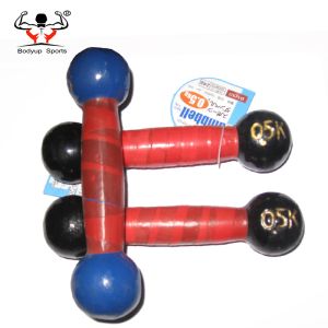 Round Head Fitness Equipment Dumbbells Perfect Handfeeling For Power Training