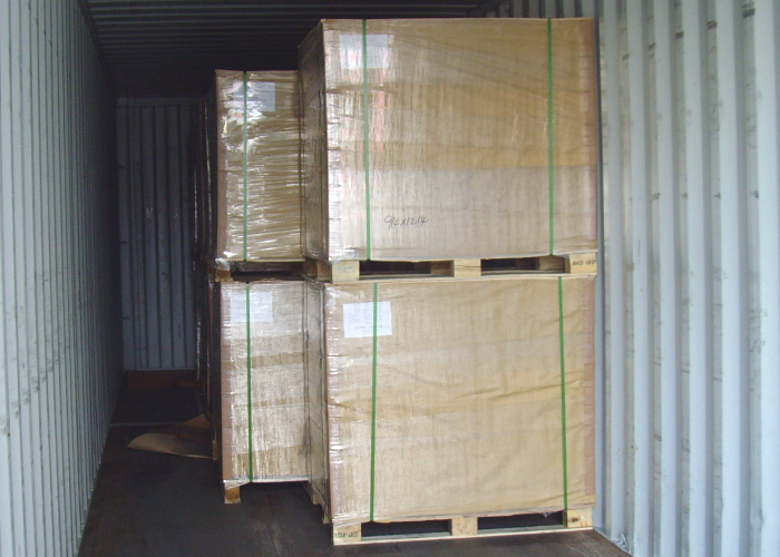 Single Side Coated Duplex Board Gray Back Offset Printing For File Folder