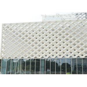 China FS Antibacterial Board Exterior Wall Decorative Facade Material Aluminum Facade Panel on sale