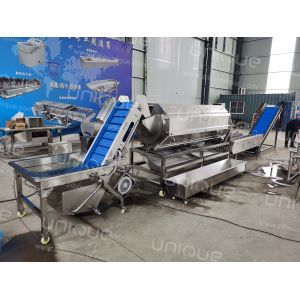 Potato Peeling and Washing Machine 2.25 kw for Food Processing Industries