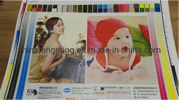 Paper Material Flexo Printing Machine with Advanced UV IR Dryer and Hot Air