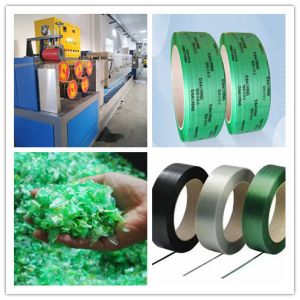 Thickness 0.6mm 1.2mm PET Strap Making Machine Packing Belt Extrusion Line
