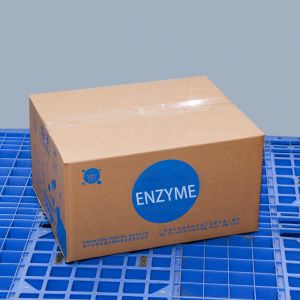 papaya enzyme powder 1000TU/MG Protease manufacturers enzyme preparations have