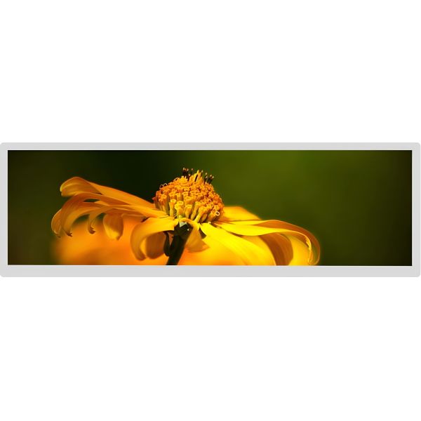 Quality 28" Bar Type LCD Display 1920x360 IPS TFT Lvds Interface for sale