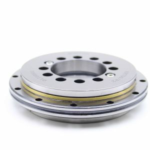 YRTS325 325*450*60mm Rotary Table Bearing High Speed Turntable bearing