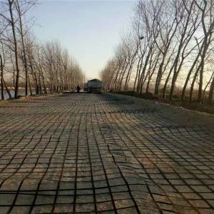 High Strength Steel Wire Reinforced Hdpe Combi Plastic Geogrid for Road