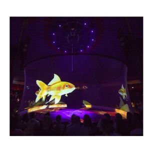 3D Holographic Mesh Projection Screen