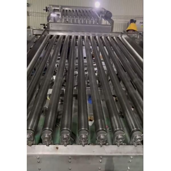 Quality Most Stable Sardine Fish Grading Machine, Sorting Other Small Fish With Large Capacity for sale