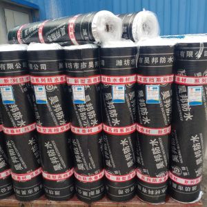 Polymer-Enhanced SBS Bituminous Waterproofing Engineered For Reliable Leakage