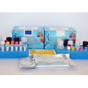 Ofloxacin ELISA Test Kit , provide free samples , stored at 2-8 degrees , 96