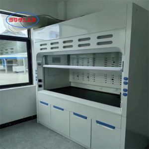 China Anti Corrosion Laboratory Fume Cupboard Vertical Sliding Sash Type on sale