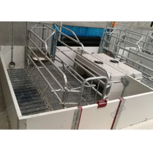 Durable Pig Farm Equipment Nursery Weaning Crate Weaning Fence For Piglets PE