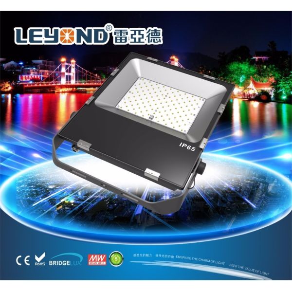 Factory Price IP66 Waterproof LED Flood Lights SMD LED 100W CE RoHS approved Led