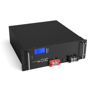 Customized Lithium Ion Battery 50Ah 150Ah 200Ah 48V 100Ah LiFePO4 For Solar