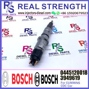 common rail injector 0445120018 0445120113 0445120210 0445120255 fuel injector