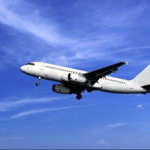 FCL Consolidation Freight Services Shipping From China To Bogota Colombia