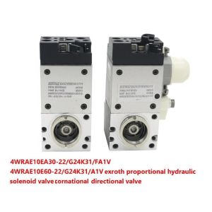 4WRAE10EA30-22/G24K31/F1V 4WRAE6WA07-22/G24K31/A1V 4WRAE10E60-22/G24K31/A1V