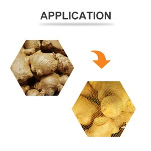 Semi Automatic Net Packaging Machine Green Lemon Fruit Vegetable Mesh Bag