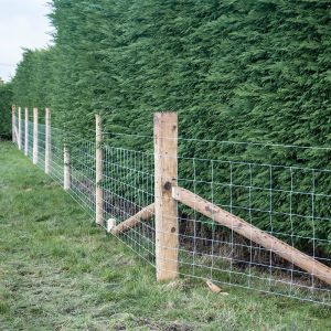 1.8mm / 2.0mm Hinge Joint Field Fence Long Lasting And Easy To Install