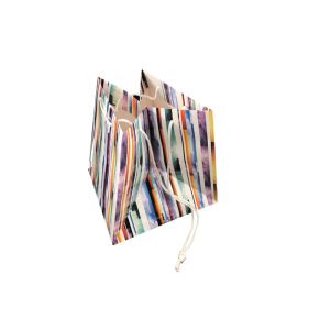 Elegant Foldable Printed Promotional Paper Bags Customized Logo Printing