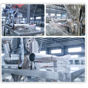 20-25 Bags/Min GD8-200 Fully Automatic Rotary Bagging Machine