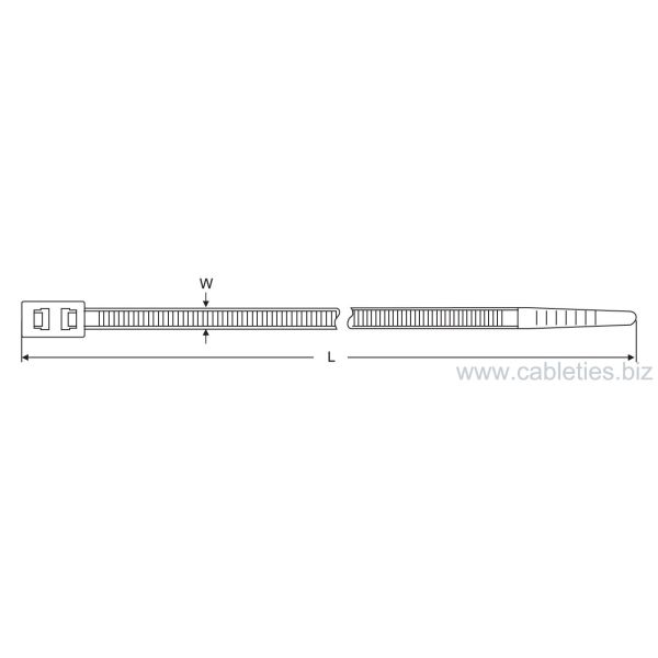 Double head cable tie