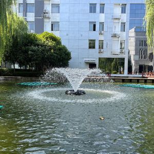 Farming Solar Powered Pond Aerator Automatic Floating Solar Pond Oxygenator