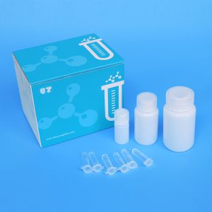 ISO13485 48mL 60mL DNA Extraction Kits PCR Detection Swab Kit
