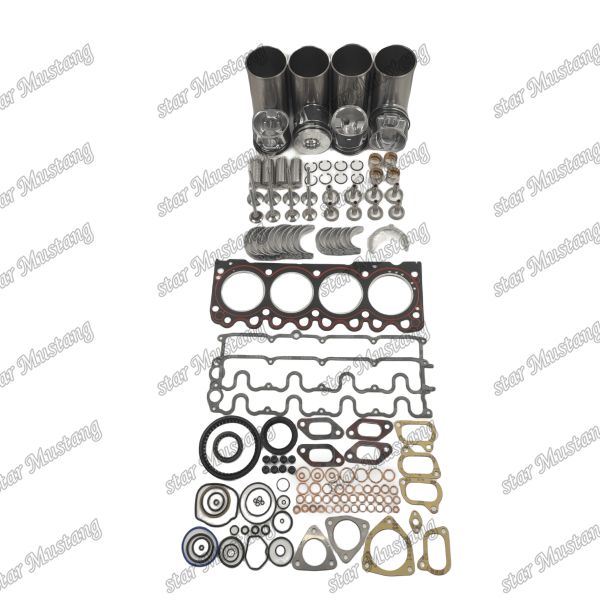Quality BF4M1011F Overhaul Repair Kit Cylinder Liner Piston Kit Gasket Kit Valve Seat Guide Main And Con Rod Bearing For Deutz for sale