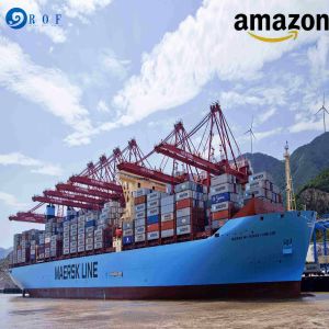 Wholesale Reliable A Class Ocean Freight Forwarder To Ont8 from china suppliers