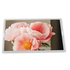 Wholesale 9.0 INCH C090EAN04.1 LCD Module 1280*720 C090EAN04.1 Lcd Screen Panel 9&quot; TFT LCD for AUO C090EAN04.1 from china suppliers