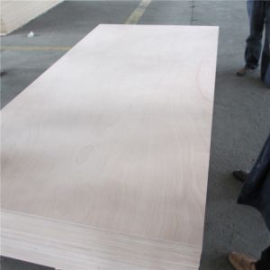 Buy cheap Llyods Certificate Phenolic WBP Glue 16mm Marine Okoume Plywood from wholesalers