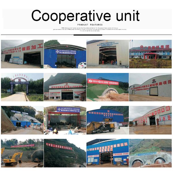 Construction Works Small Loader with Partial Customization and None Hydraulic Pump