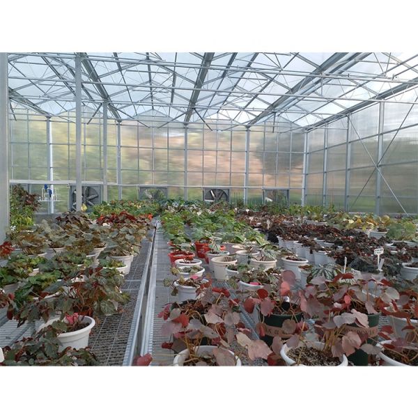 Clear Plastic Polycarbonate Roof Greenhouse For Flower And Vegetable Cultivation
