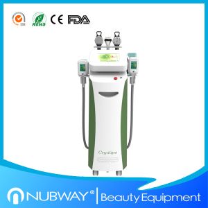 Wholesale Newest-launched!!! The most featured Cryolipolysis Slimming Machine Green Vertical from china suppliers