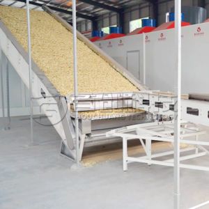 Continous Belt Pistachio Macadamia Dryer Nuts Beens Drying System
