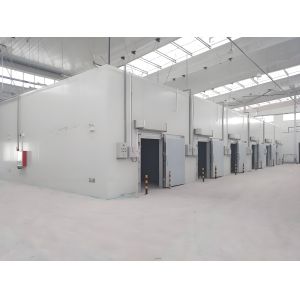 Advanced Customization Cold Room Freezer Room With Polyurethane Panels