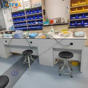 Testing Function Wall-Mounted Laboratory Bench Easy Installation