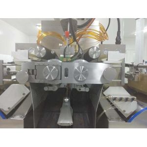 13kw Automatic Softgel Encapsulation Machine with 12 Plungers