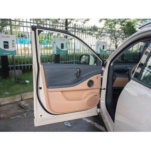 Popular Used Carss AION V 2026 Tyrannosaurus Family Trim 650km Premium