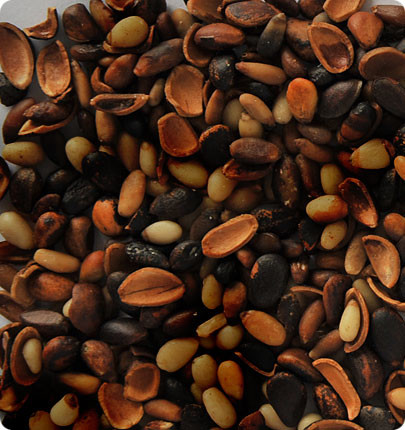 Peanut Color Sorting Machine For Seperating Pine Nut Kernels