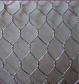 China Chicken Wire Mesh/Hexagonal Wire Netting/Hexagonal Wire Mesh on sale