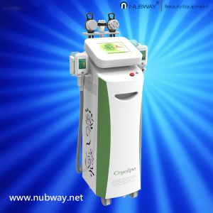 Wholesale Cavitation Rf Ice Frozen Vacuum Latest Cryolipolysis Slimming Machine from china suppliers