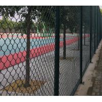 China High Strength Green Wire Mesh Fence 50*100mm PVC Coated Iron Wire Material for sale