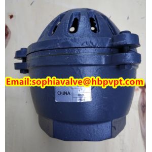 4'' GG20 BS21 PN16 threaded foot valve