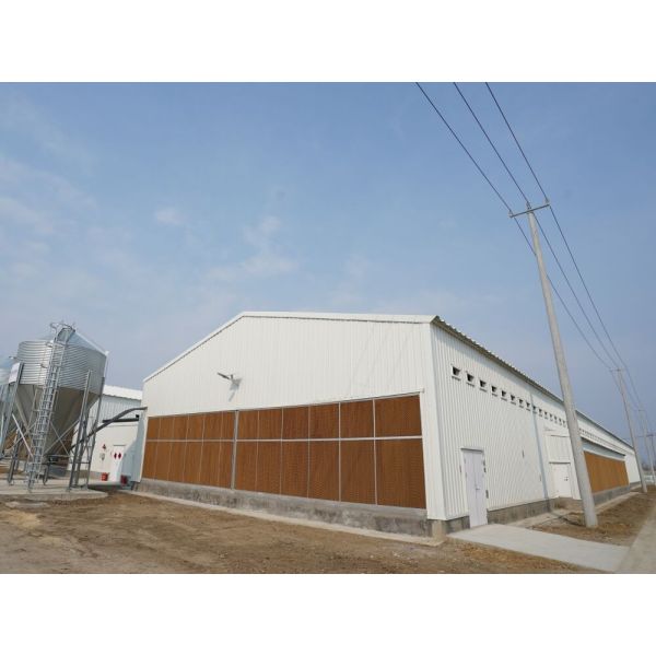 Prefab Poultry House for Layers Broilers and Breeders