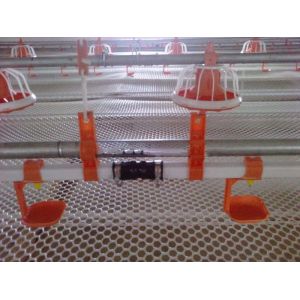 Plasson Broiler Waterer Poultry Drinking Line White Red Yellow