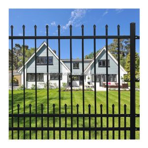 Hot Dipped Galvanized Powder Coated Iron Fence for Home Garden Ornamental and