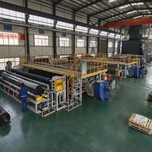 Directed Supply Waterproof HDPE Geomembranes for Waterproof Projects and Fish